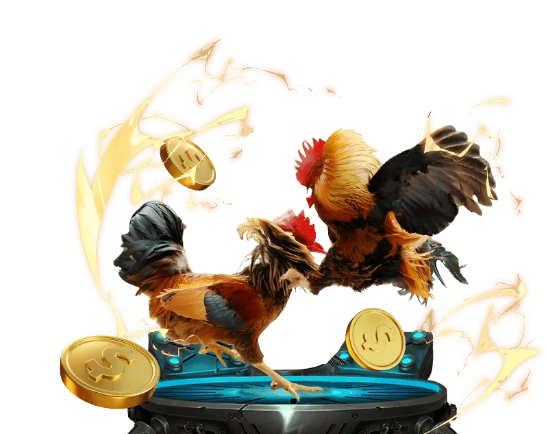 Các loại hình đá gà phổ biến tại ku99 xổ số club